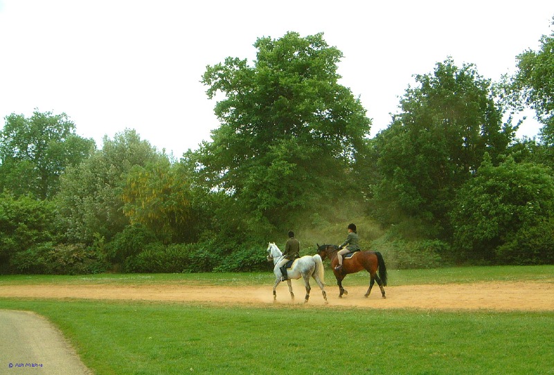 Kensington Gardens Horses 1