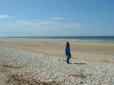 Juno Beach - 3