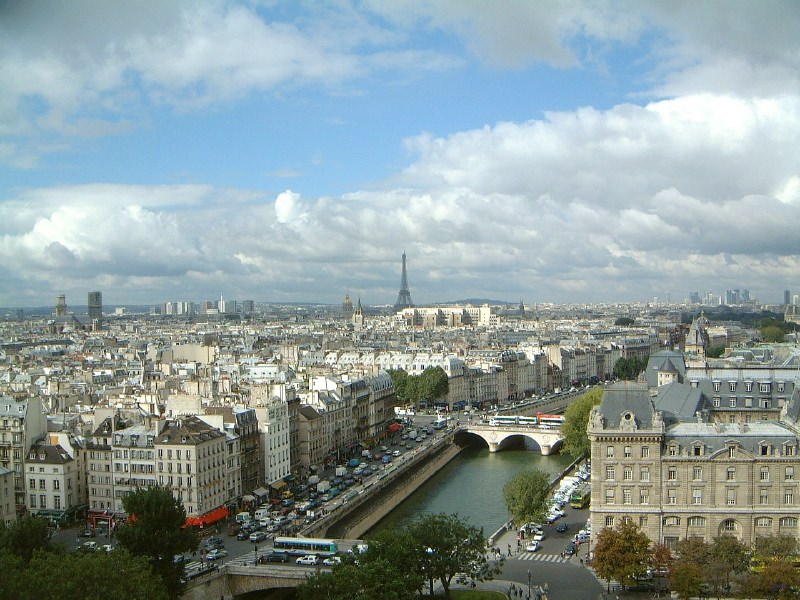 Paris from above 4