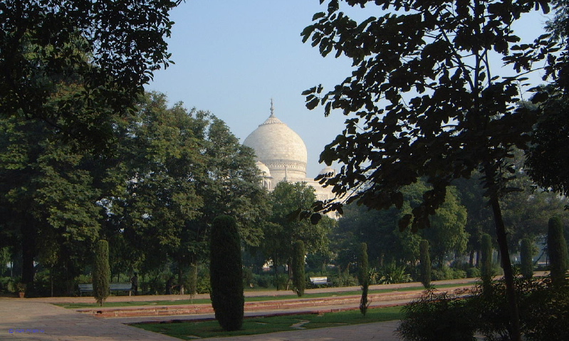 Agra (Taj Mahal) - 1