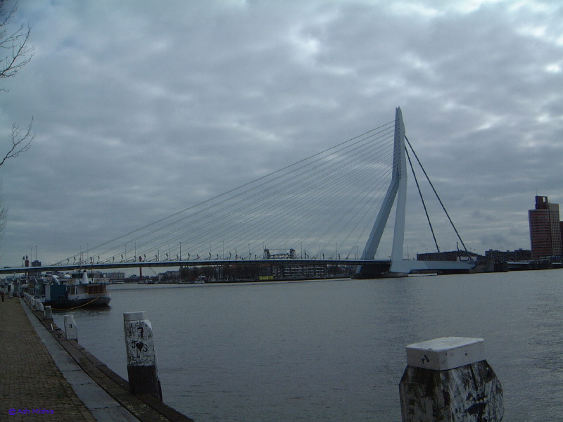 Rotterdam - 1