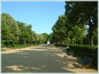 Ciutadella Park 1
