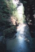 (c)1997 Eric Praetzel
